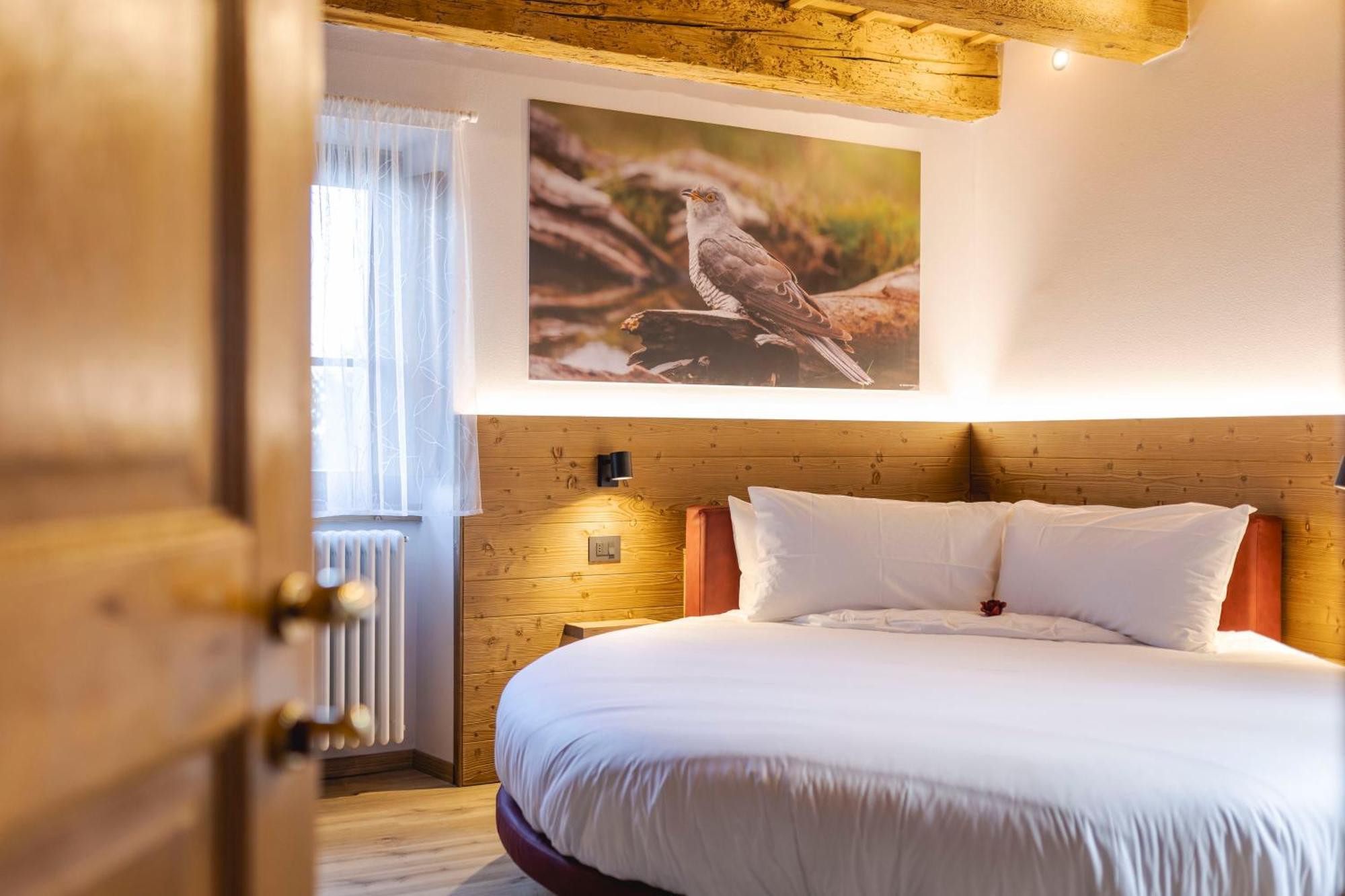Granduca Mountain Wellness Apartments Campigna Exteriör bild